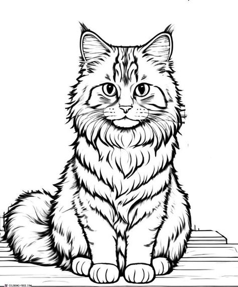 Cat Coloring Pages (Free Printables) Cat And Dog Drawing, Cat Coloring Pages, American Shorthair Cat, Cat Printable, Cat Coloring, Cat Coloring Book, Kitty Coloring, Russian Blue Cat, Hello Kitty Coloring