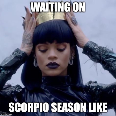 Scorpio Meme, Zodiac Mind Scorpio, Zodiac Quotes Scorpio, Scorpio Women, Horoscope Dates, The Scorpions, Scorpio Girl, Scorpio Traits, Scorpio Birthday