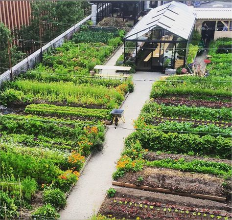 nice Oestergro, A Urban Farm Landscape Made In Denmark  #denmark #Gardening #Landscape #rooftop #UrbanGardening A 600 m2 organic rooftop garden, five floors above an old car auction – it sounds like a scene from New York, but it is totally Copenhagen. Here in... Rooftop Garden Urban, Farm Landscape, Small Vegetable Gardens, Crop Production, Urban Agriculture, Urban Farm, Market Garden, Urban Gardening, Farm Design