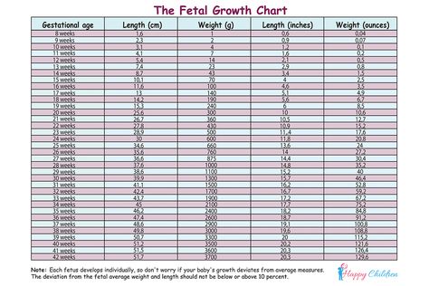 Fetal Growth Chart shows the exact measurements of the average fetal length and weight by gestational age. Of course, every baby is different, so don’t worry if the measurements in your maternity notes are different from The Fetal Growth Chart. #ParentingTools #FetalGrowthChart #FetalWeightChart Pregnancy Month Chart, Most Fertile Days Charts, Fetal Growth Chart, Trimester Chart, Pregnancy Growth Chart, Weeks To Months Pregnant Chart, Baby Weight Chart, Fetal Growth Restriction, Stages Of Fetal Development