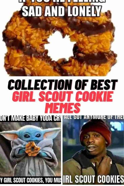 Girl Scout Cookies Memes #GirlScoutCookies #memes #GirlScouts #Cookies #funny Recipes Using Girl Scout Cookies, Funny Girl Scout Cookie Signs, Girl Scout Cookie Valentines, Girl Scout Cookie Meeting Ideas, Girl Scout Cookie Memes Funny, Girl Scout Cookies 2024, Girl Scout Cookie Booth Signs, Ryan Gosling Hey Girl Memes, Girl Scout Cookie Signs