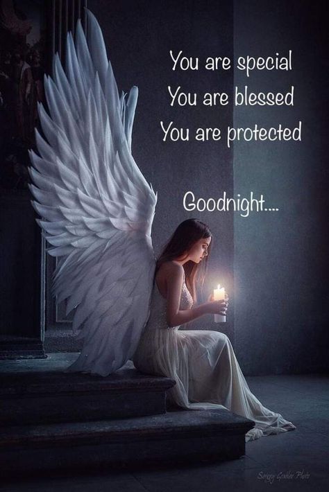 Goodnight sweet Angels. Thank you for being our guardian angels. You are truly a blessing to all of us. Sweet dreams.😇 Angel Photos, Guardian Angel Pictures, Angel Blessings, Angel Signs, Angel Quotes, Angel Prayers, Beautiful Angels Pictures, Angel Images, Angel Guidance