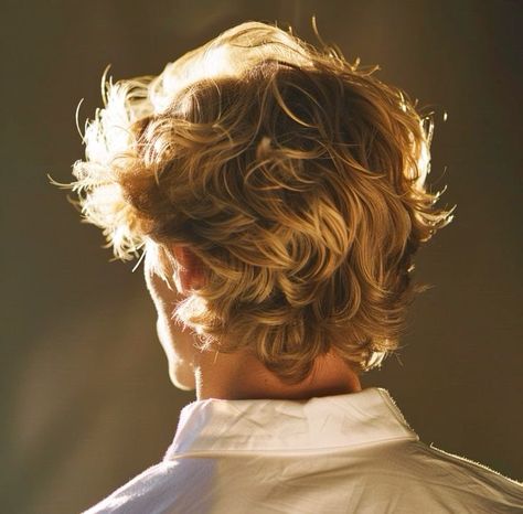 Men With Curly Blonde Hair, Blond Hair Styles Men, Blonde Guy Oc Art, Men Curly Blonde Hair, Guy With Blonde Curly Hair, Curly Blond Haired Boy, Blonde Mafia Man, Blond Man Aesthetic, Blonde Hair Men Aesthetic