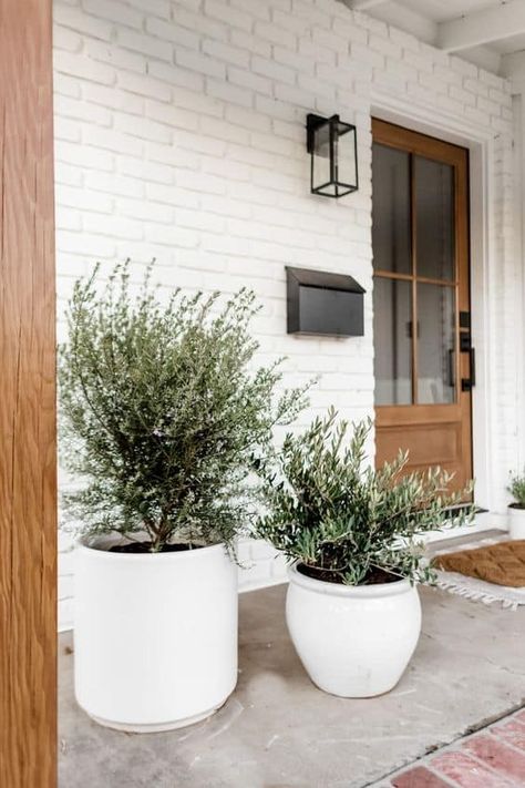 Entryway Outdoor Front Entry, Front Porch Garden Ideas, Build Porch, Modern Farmhouse Backyard, Hamptons Interior, Doors And Floors, Exterior Front Doors, Virginia Homes, Small Farmhouse