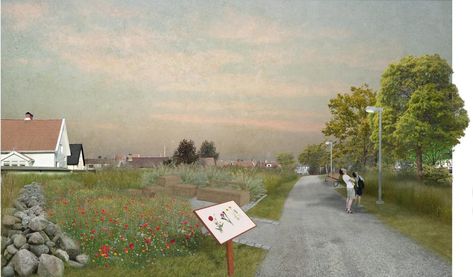 Suggestion for variety of alternative lawns in one of neighborhoods in Göteorg Architecture Visualization Photoshop, Ecosystem Services, Vision Collage, Landscape Diagram, Collage Architecture, Green Infrastructure, Collage Landscape, Urban Design Diagram, Architecture Design Process