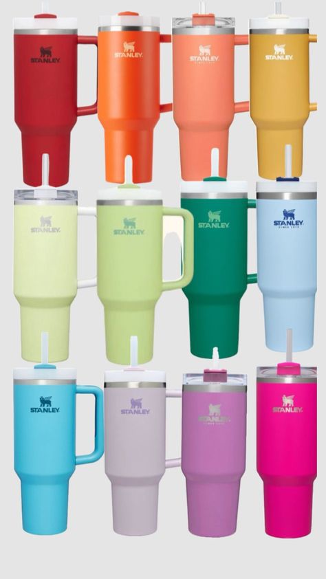 Preppy Rainbow, Stanley Bottle, Stanley Products, Leyte, The Coral, Cute Cups, Stanley Cup, Tumbler With Straw, Great Hair