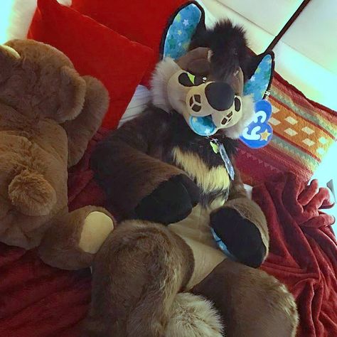 Plush Suit Fursuit, Plush Fursuit, Pretty Fursuits, Dog Fursuit, Plush Suit, Fursuit Photography, Unique Fursuits, Lop Bunny, Fursuit Paws