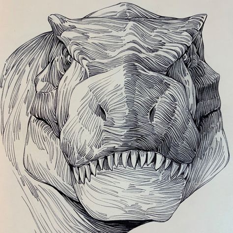 Kang Meng, Dino Drawing, The Art Showcase, Dinosaur Sketch, Art Showcase, Dinosaur Drawing, Animal Drawings Sketches, Dinosaur Illustration, Pen Art Drawings