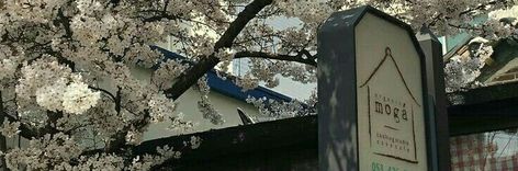 Japan Aesthetic Twitter Header, Japan Twitter Header, Japanese Header Aesthetic, Korean Aesthetic Header, Sakura Twitter Header, Japan Widget, Flower Twitter Header, Japan Header, Sakura Header