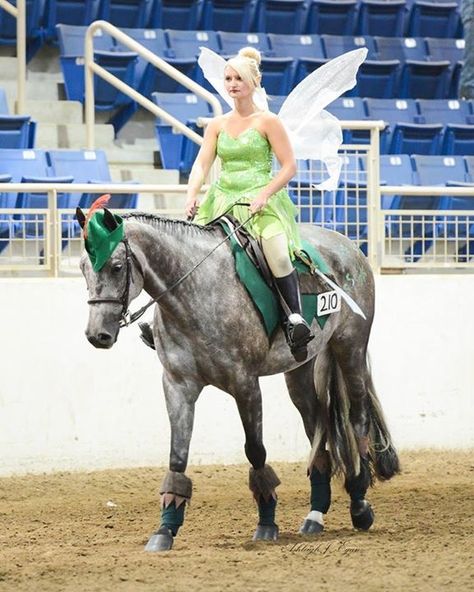 Tinker Bell riding a horse dressed as Peter Pan! Horse Halloween Ideas, Horse Fancy Dress, Horse Halloween Costumes, Green Leotard, Polo Wraps, Riding A Horse, Horse And Human, Peter Pan And Tinkerbell, Cute Horse Pictures