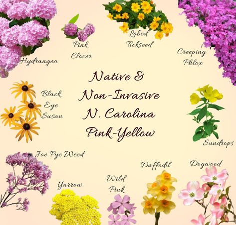 Native or non-invasive flowers for North Carolina gardens, pink and yellow flowers. Landscape Design North Carolina, Native Plants North Carolina, North Carolina Flowers, North Carolina Wildflowers, North Carolina Garden, Pollinator Garden Design, Caroline Jones, Dream Garden Backyards, Flower Yard