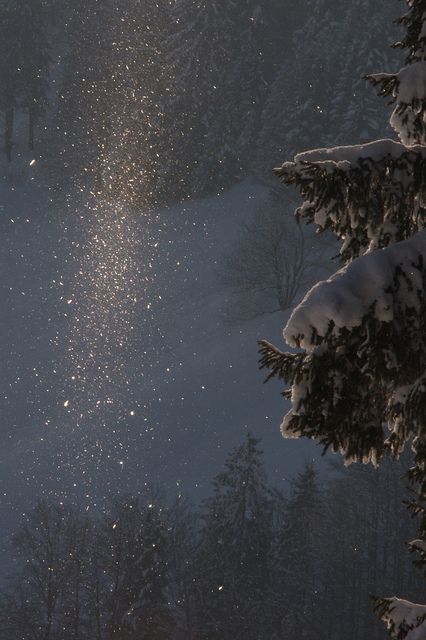 Snow Sparkle Era Victoria, Snow Is Falling, Winter Szenen, Peaceful Place, I Love Winter, Winter Love, Winter Vibes, Winter Magic, Winter Scenery