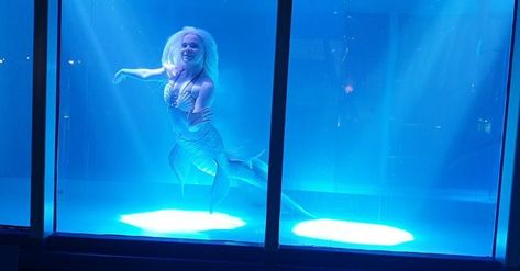 Merenneito Riia on Instagram: “I just loved performing in the tank 🦄 We had a huge 34 000 liter tank thanks to @seasafetyscandinavia with enough room to fit 3 mermaids. I…” 3 Mermaids, Mermaid Tank, Lava Lamp, Just Love, Novelty Lamp, Mermaid, Disney Princess, Disney Characters, On Instagram