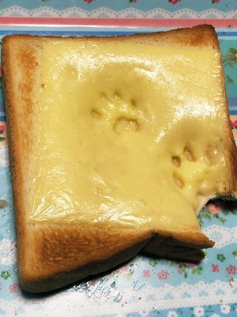 Anyone ordered Paws Toast? Cat Paw Print, Cat Paws, Cute Food, Aesthetic Food, Cat Memes, Nom Nom, Cute Cats, Toast, Cute Animals