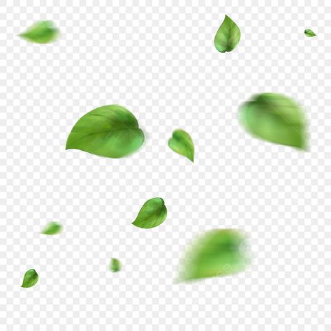 Green Background With Leaves, Transparent Images Png, Fall Float, Corel Draw Tutorial, Floating Leaves, Leaf Png, Floating Material, Falling Leaf, Leaf Vector