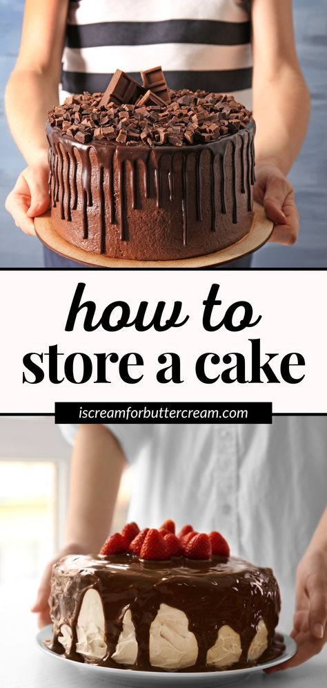 Keep Cake Moist, Cake Base Recipe, Culinary Basics, Cold Cake, Cake Storage, Cake Base, Frozen Cake, Cake Tasting, Cake Cover