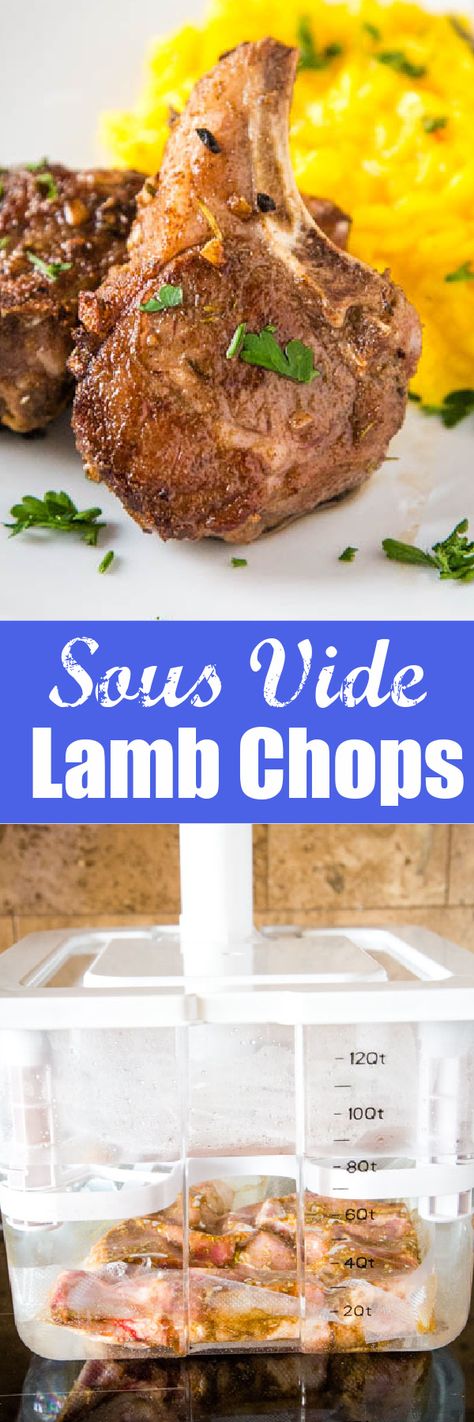 Sous Vide Lamb Chops - Mediterranean lamb chops that are super tender, juicy and cooked perfectly every time! Sous Vide Lamb Chops, Cook Lamb Chops, Lollipop Lamb Chops, Lamb Loin Chop Recipes, Sous Vide Lamb, Mediterranean Lamb, Lamb Chops Recipe, Cook Lamb, Lamb Loin Chops