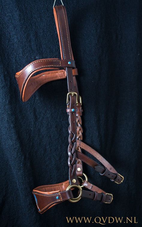 Leather Horse Tack, English Horse Tack, Roping Saddles, Bitless Bridle, Western Bridles, Horse Costumes, Horse Equipment, Horse Bridle, Horse Gear