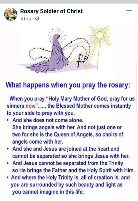 Crowning Of Mary, Consecration To Mary, Rosary Quotes Catholic, Mother Mary Pray For Us, Anglican Rosary Prayers, Rosary Novena, Hail Mary Prayer Catholic, Rosary Prayers Catholic, Catholic Theology