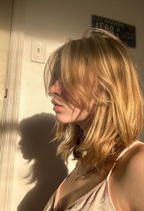 shadows Short Strawberry Blonde Hair Aesthetic, Golden Blonde Curtain Bangs, Light Layers Short Hair, Artsy Short Hair, Short Hair With Curtain Bangs Blonde, Pink Hair With Curtain Bangs, Medium Shag Straight Hair, Short Golden Brown Hair, Dirty Blonde Shoulder Length Hair