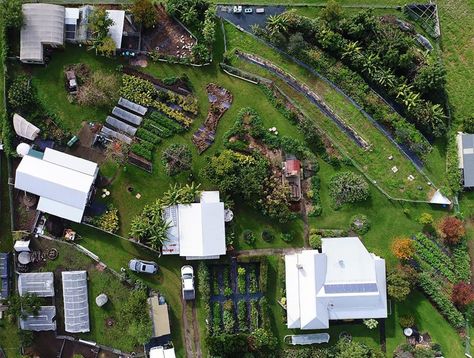 1-acre permaculture farm in Australia feeds 50 families // @inhabitat Plan Potager Permaculture, Farm Kitchen Ideas, Permaculture Farming, Mandala Garden, Permaculture Farm, Sustainable Homestead, Acre Homestead, Natural Farming, Farm Layout