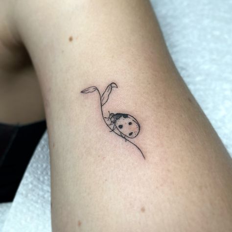 Teeny ladybug ˚₊‧ʚ🐞ɞ‧₊˚ Based at @outpost_tattoo 🌙 taking January bookings 💌 #tinytattoo #finelinetattoo #southamptontattoo #femaletattooartist Ladybug Tattoo Ideas Black And White, Small Cute Wrist Tattoos, Fineline Ladybug Tattoo, Ladybug Tattoo Simple, Ladybug And Flower Tattoo, Ladybug Tattoo Traditional, Ladybug Tatoos, Brand New Eyes Tattoo, Tiny Bug Tattoo