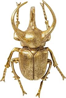 Amazon.com: gold beetle Beetle Taxidermy, Atlas Beetle, Taxidermy Wall, Eclectic Interior, Jewellery Ideas, Ancient Civilizations, 3d Projects, Paperweights, Modern Chic