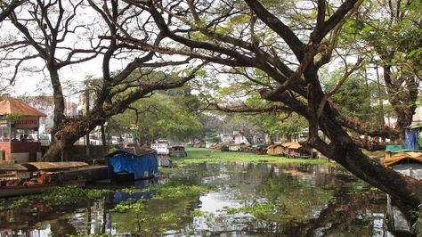 Allapuzha Backwaters - Kerala Mughal Empire, Incredible India, Kerala, India, Quick Saves