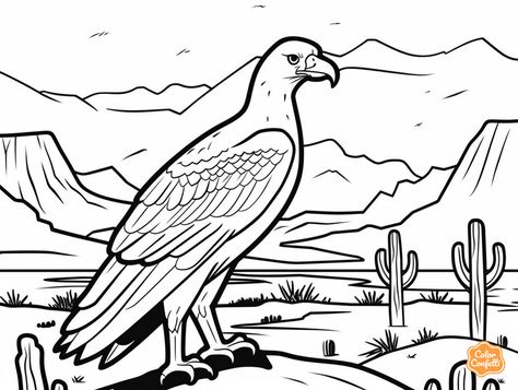 illustration of Arizona coloring page for download Arizona Drawing Ideas, Arizona Coloring Pages, Desert Coloring Pages, Arizona History 3rd Grade, Arizona Images, Mandala Turtle, Arizona Sunset, Desert Landscapes, The Grand Canyon