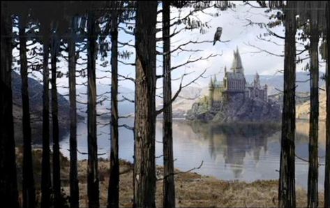 forbidden harry potter movie | Hogwarts castle - view from the Forest 01 (Concept Artwork) Harry Potter Life Quiz, Film Harry Potter, Forbidden Forest, Christmas Aesthetic Wallpaper, Hogwarts Aesthetic, Hogwarts Castle, Chamber Of Secrets, Albus Dumbledore, Harry Potter Wallpaper