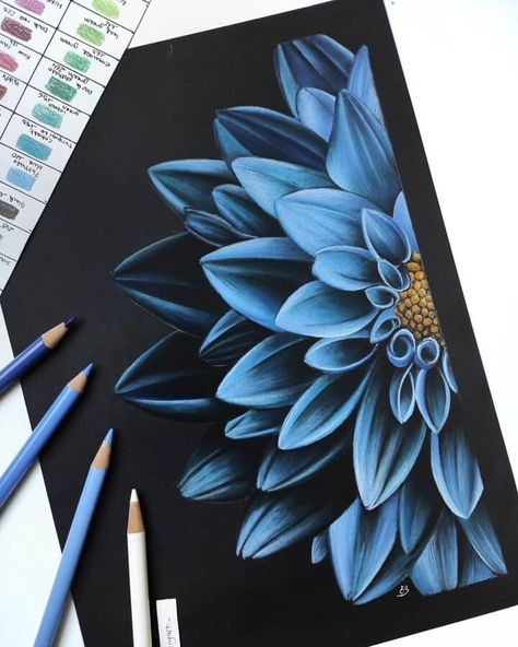 flower pencil drawing Realistic Flower Drawing, Pencil Drawings Of Flowers, Prismacolor Art, Black Paper Drawing, Colored Pencil Artwork, Arte Inspo, Pencil Art Drawings, Art Drawings Sketches Creative, Color Pencil Art