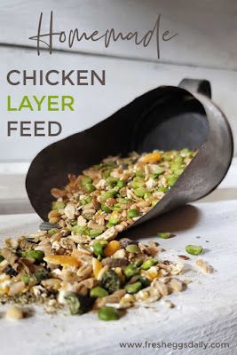 Homemade All Flock Feed, Diy Layer Feed, Diy Chicken Layer Feed Recipes, Homemade Chicken Feed Recipes, Chicken Layer Feed Recipe, Diy Chicken Layer Feed, Best Chicken Feed For Layers, How To Make Your Own Chicken Feed, Homemade Duck Feed