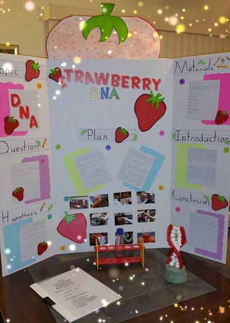 Science Project,  extracting DNA from a strawberry.  4th grade !!! Science Fair Projects For Elementary, Ideas For Science Fair, Science Tools Activities, 4th Grade Science Projects, Scientific Project, Kids Science Fair Projects, Dna Activities, Science Fair Board, Science Fair Experiments