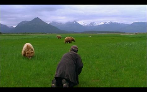 Grizzly Man by Werner Herzog, with Timothy Treadwell. Timothy Treadwell, Grizzly Man, Werner Herzog, Good Movies On Netflix, Film Institute, Animation Movie, The Best Films, Spoiler Alert, Moving Pictures