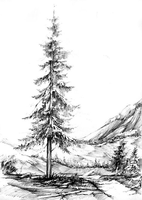 Trees mountain scenery Pine Trees Sketch, Black And White Landscape Drawing Pencil, Trees Pencil Drawing, Mountain Trees Drawing, Sketch Pine Tree, Pine Tree Ink Drawing, Pine Tree Drawing Pencil, Pine Drawing, Pine Tree Drawing