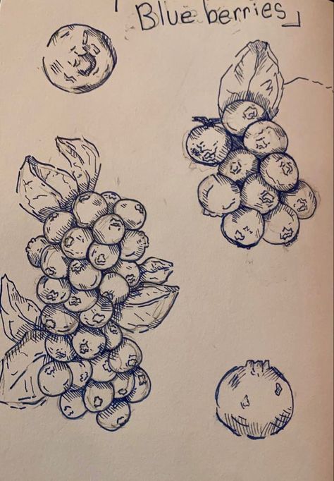 How To Draw Apple, Blueberry Drawing, Grape Drawing, White Grape Juice, Fruit Sketch, White Grape, Arte Grunge, Vanilla Greek Yogurt, Drawing Expressions