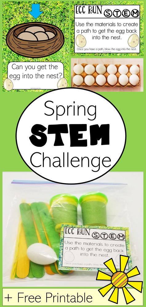 The pin shows a picture of a printable that says, "Can you get the egg into the nest?" and "Egg run STEM Use the materials to create a path to get the egg back into the nest" and a carton of eggs and a bag with play dough, egg and popsicle sticks. Kindergarten Stem Challenges, Easter Stem Challenge, Steam Activities Elementary, Simple Stem Challenges, Spring Stem Activities, Stem Challenges Elementary, Simple Stem Activities, Stem Activity For Kids, Easter Stem