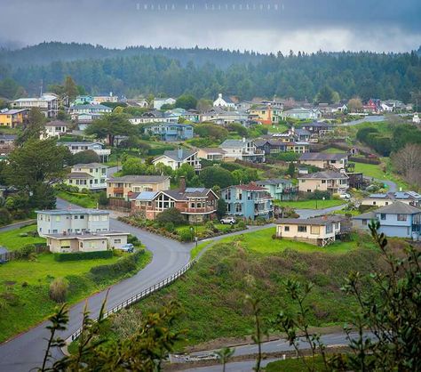 Trinidad Humboldt County California Trinidad California, Arcata California, Humboldt State University, Humboldt County California, Eureka California, Humboldt County, Redwood Tree, Redwood Forest, Caribbean Beaches