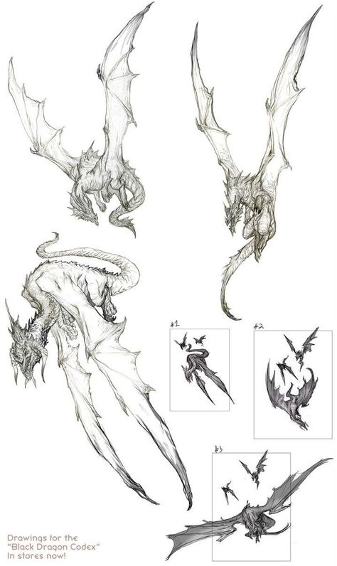 some more sketches of dragons Dragon Poses, Dragon Anatomy, Dragon Heads, Creature Fantasy, Dragon Sketch, Dragon Artwork, Mythical Creatures Art, Dragon Drawing, Monster Design