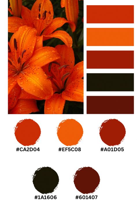 Purple Orange Black Color Palette, Canva Color Palette Codes Orange, Black And Orange Palette, Red Orange Color Scheme, Red Orange Black Color Palette, Black White Orange Color Palette, Blood Orange Color Palette, Orange Hex Code, Red Hex Codes