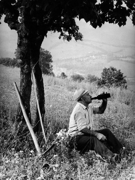 Read the full story at Italy Segreta written by Gabriela R. Proietti Italian Photography, Old Farmer, Nostalgic Pictures, Old Photography, Drinking Wine, Bw Photography, Italian Culture, Vintage Italy, Retro Photo