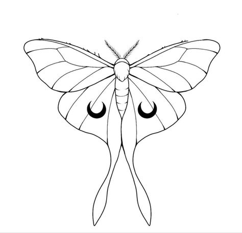 Luna Moth Coloring Page, Moth Wing Template, Moth Illustration Simple, Moth Drawing Tutorial, Lunar Moth Drawing Simple, How To Draw Moth Wings, Moth Outline Tattoo, Moth Drawing Simple, Moth Line Art