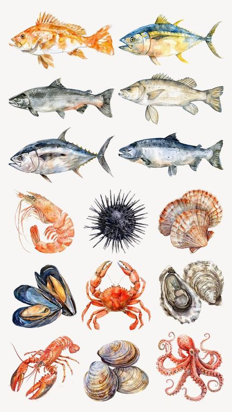 Editable watercolor seafood design element set | premium image by rawpixel.com / Pinn Seafood Design, Shell Illustration, Sea Elements, Sea Illustration, Watercolor Fish, Awesome Designs, Sea Urchin, Sea Fish, Free Design Resources