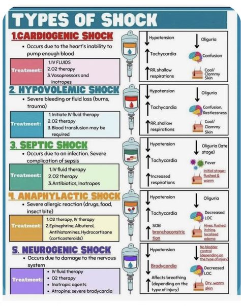 Nursing School Studying Cheat Sheets, Emt Study, Types Of Shock, Cardiogenic Shock, Nurse Notes, Medical Assistant Student, Basic Anatomy, Nursing School Essential, Nursing Study Guide