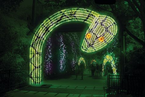 Philadelphia Zoo Will Transform Into Winter Wonderland With Brand New, Major Light Experience This Holiday Season Zoo Tickets, Philadelphia Zoo, Mormon Temple, Holiday Lights, Winter Christmas, Night Time, Winter Wonderland, Christmas Lights, In Time