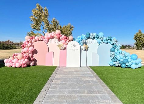 Blue And Pink Backdrop, Gender Reveal Set Up, Gender Reveal Backdrop, Board Themes, Gender Reveal Baby Shower Themes, Set Up Ideas, Twin Gender Reveal, Gender Reveal Themes, Wedding Entrance Decor