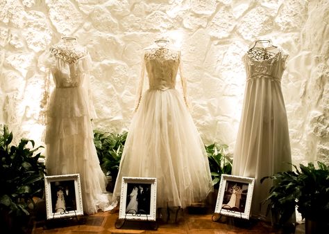 LOVE this idea for displaying family wedding dresses at the reception! (photo by DNT Photography @ Stonegate Mansion) Wedding Dress Display At Reception, Wedding Dress Display Ideas, Dress Display Ideas, Heritage Table, Wedding Dress Display, Bride Tips, 50th Wedding Anniversary Decorations, Old Wedding Dresses, Mom Wedding Dress