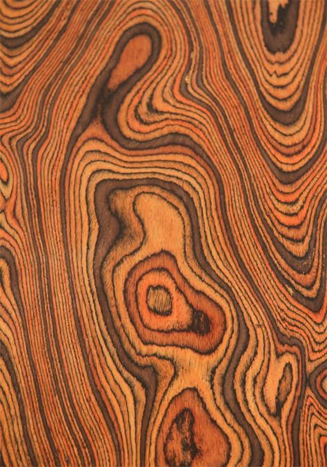 Trees, Bark & Wood Grains on Pinterest | Wood Grain, Trees and Socotra Tree Textures, Urban Ninja, Texture Inspiration, Tree Bark, Wood Patterns, Burled Wood, Wood Texture, Patterns In Nature, Coffee Table Wood