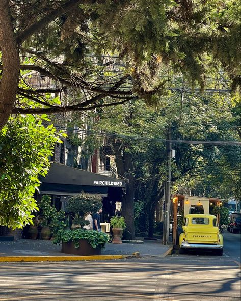 polanco, mexico city, yellow car, bochito Mexico City Polanco, Mexico City Aesthetic, Polanco Mexico City, Mexico City Food, Latin Mafia, Yellow Car, Fotos Aesthetic, México City, Places To Live