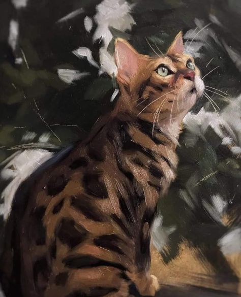 Jennifer Gennari, Cat Portrait Painting, Cats Art Drawing, Tiger Drawing, Illusion Drawings, Animal Portraits Art, Wildlife Paintings, Little Prince, Painting Studio